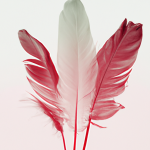 모두가 알아야 할 카지노사이트 활용법과 안전한 게임 팁